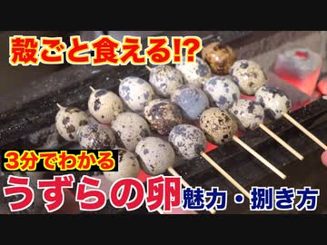 プロが教える!!うずらの卵の魅力と食べ方