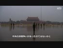 盗作疑惑をかけられた専門家の名誉が回復　中国内部で派閥争いか ＃中国ウイルス ＃武漢肺炎 ＃新型コロナ ＃COVID-19 ＃変異株