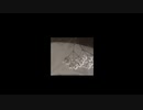 夢む / 初音ミク