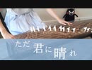 【箏】ただ君に晴れ／ヨルシカ（Cloudless／Yorushika）弾いてみた【Manon】