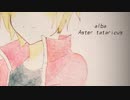 【心華】alba Aster tataricus【オリジナル】