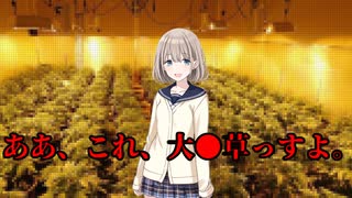 ストレイライトcoc part3