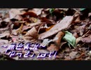 《無色実況》【現代ホラーノベル】《山中の女》「ゆらぎ」part7