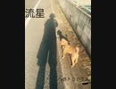 流星-へきトラハウス【ギター弾き語り】【フル】