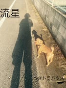流星-へきトラハウス【ギター弾き語り】【フル】