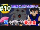 【Minecraft】ちょっくら雨宿りしていかない？【黄昏の森】 #10