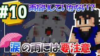 【Minecraft】ちょっくら雨宿りしていかない？【黄昏の森】 #10