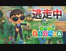 【あつ森】逃走中を森でやってみた ムシとり大会編 inランゲルハンス島【実況】あつまれどうぶつの森