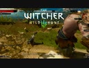 【ウィッチャー３】こんばんは、怪物にボコられています【Witcher3】