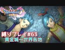 大切な宝物【ドラゴンクエスト11S】縛り初見プレイ＃63