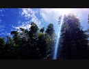 【小春六花】早朝森林浴【オリジナル曲】【写真集PV】【ピアノ曲】