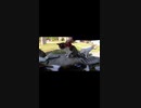 猫島で猫集会に参加した男の末路・・_#Shorts【野良猫】【感動猫】