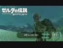【女性実況】# 19 イーガ団扮装する意味ある？バレてるよ【ゼルダの伝説 ブレス オブ ザ ワイルド】