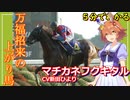 5分でわかる【ウマ娘】万福招来の上り馬【マチカネフクキタル】