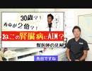 ネコの寿命が２倍に伸びる！ おそうじタンパクAIMで死の腎臓病も解消！