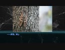 夏休み特別企画　依談　嗤蝉