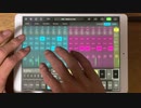 【iPad】伯方の塩をテクノにしてみた【ELECTRIBE Wave】