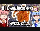 【琴葉姉妹の磯遊び】#10磯の危険生物　やばいたこ編【VOICEROID解説】