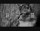 【歌ってみた強化期間】銀猫_天野月【ゆきみちよこ】