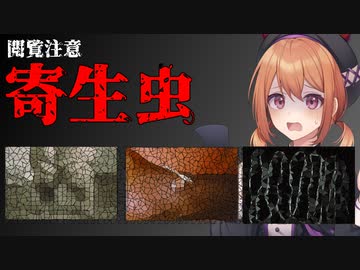 恐ろしく特徴的な世界と日本の寄生虫【VOICEROID解説】