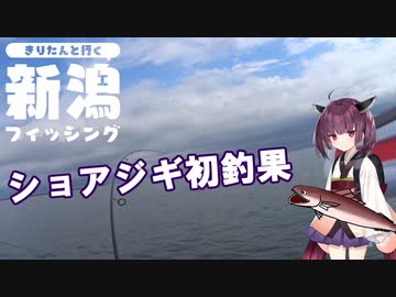 きりたんと行く新潟フィッシング　part１　夏のショアジギ！　【第七回ひじき祭】
