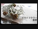 【今更ながら】ドライフラワー【歌ってみた】