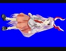 鈴仙・優曇華院・イナバ(花映塚)先輩BB