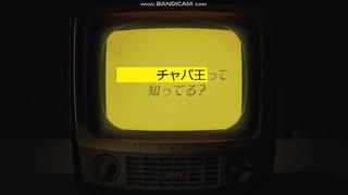 ドラゴンボールCHAPPA CM＆チャパ王ゲーCM集2
