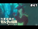 【ゼルダの伝説ブレスオブザワイルド】めっちゃ暑苦しいゾーラ王子【実況プレイ】#41
