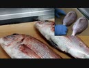 ご家庭で鯛料理その①　ウロコトルだけで動画時間８分あるよ