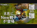 0806B②【カルガモ親子 生まれたて雛鳥可愛い】おしくらまんじゅう。バン幼鳥と共演。セミを捕食したバン。8月にまさかの新組誕生。　#身近な生き物語　#カルガモ親子　#バン