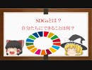 [ゆっくり講座] SDGsとは？