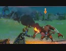依頼を受けて、ボコブリンに熱いダンスを踊ってもらった