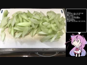 珍食材が食べたい！#23　ハスガラのツナマヨ和え