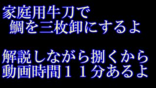 ご家庭で鯛料理その③　家庭用牛刀で三枚卸