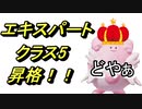 【ポケモンユナイト実況】無課金エリートのマスターまでの成長記録 #12 「エキスパートクラス5に昇格」
