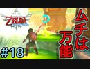 隙間さえあれば痒いところにも手が届くムチ登場 ！（強いとは言ってない）【ゼルダの伝説スカイウォードソードHD】#18