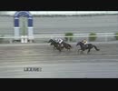３歳秋のＣＳ２０２１ サンケイスポーツ協賛 第25回黒潮菊花賞 トーセンジェイク