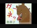 奥華子 - ガーネット