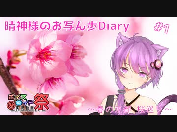 晴神様のお写ん歩Diary #1 -春の京都 桜巡り-　【第七回ひじき祭】