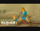 思うがままに旅をする【ゼルダの伝説 BotW】Part 18