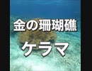 金の珊瑚・ハマ珊瑚・慶良間諸島国立公園