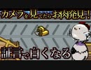 カメラを見てたらお肉発見！必死に説明したら白くなっちゃった【Among us/MOD】