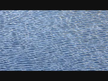 漣の映像【フリー素材あそび】
