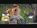 SCPを自分なりに説明してみる039【大鼻技術者】