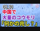 中国で大量のコウモリ「何かの兆し？」