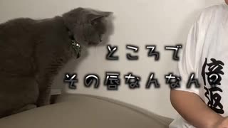 【ガチレビュー】キスしたくなるくちびる！？これであの人が振り向いてくれるかも！？