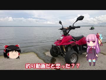 琴葉姉妹と行く釣行記録（淡水釣り編part3）