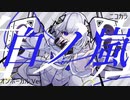 ニコカラ／白ノ嵐／on vocal