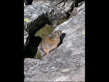 【登山日記3】東ヌプカウシヌプリ→トムラウシ山→雌阿寒岳・阿寒富士